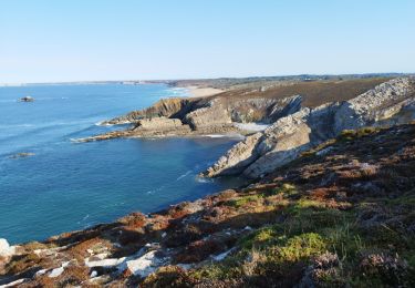 Tour Wandern Crozon - La randonnée du cap de la Chèvre  - Photo