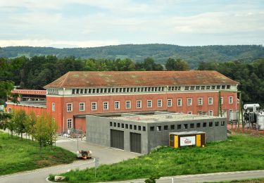 Percorso A piedi Pfungen - Pfungen - Bülach - Photo