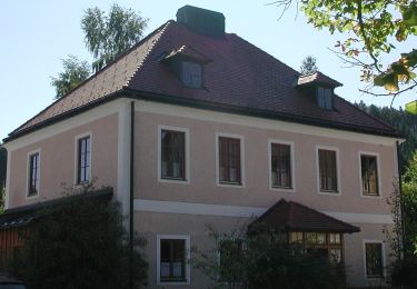 Excursión A pie Gemeinde Rohr im Gebirge - Rohr im Gebirge - Schacherkreuz-Jochart - Photo