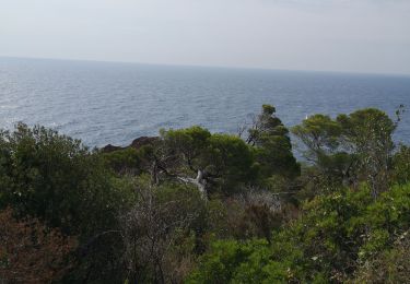 Trail Walking Saint-Raphaël - Le Dramont  - Photo