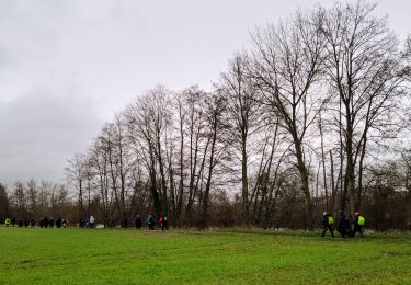 Trail Walking Mont-Saint-Père - Mont St Père du 23-01-2024 - Photo