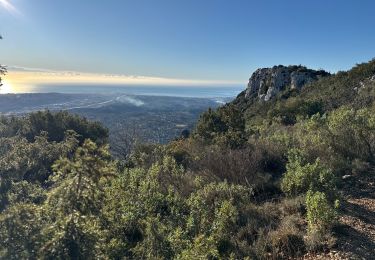 Excursión Senderismo Saint-Jeannet - St Jeannet : les Baous janv 2025 - Photo