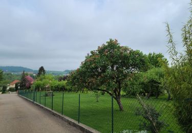 Randonnée Marche Saulny - lorry vélo et marche - Photo