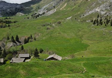 Percorso Marcia Le Grand-Bornand - Aiguille verte, Col et lac de Lessy - Photo