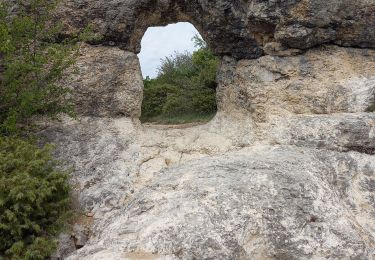 Tocht Stappen Forcalquier - Forqualquier - Les Mourres 22-05-2021 - Photo