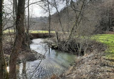 Tocht Te voet Alfdorf - Alfdorfer Wanderweg Nr.6 - Photo