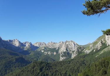 Tocht Stappen Lescun - Lac et cabane de l'Hurs - Photo