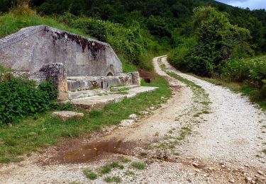 Tour Zu Fuß Norcia - IT-851 - Photo