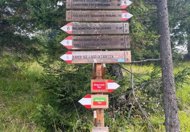 Trail Walking Welschnofen - Nova Levante - Lago di carezza - Photo