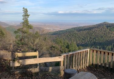 Tour Wandern Ammerschweier - Rocher du corbeau / trois épis - Photo