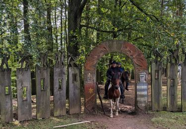 Excursión Paseo ecuestre Lembach - suuntoapp-HorsebackRiding-2024-09-28T07-36-13Z - Photo