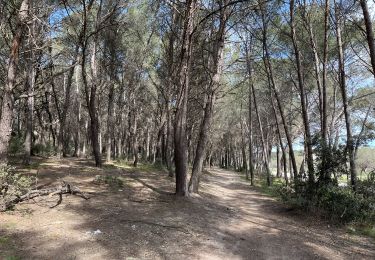 Tocht Stappen Istres - Martigues entre les étangs de Citis et Lavalduc - Photo