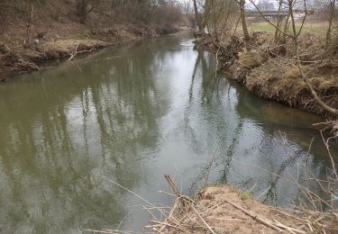 Excursión A pie Wächtersbach - Wächersbach - Panoramaweg - Photo