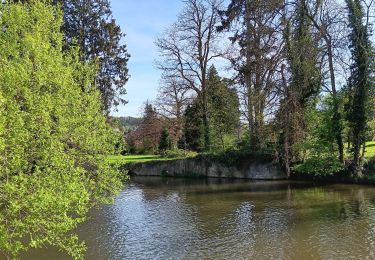 Trail Walking Durbuy - barvaux . bohon . durbuy . barvaux  - Photo