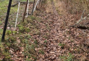 Excursión Senderismo Maidières - Maidieres - Boucle des vergers - variante - Photo