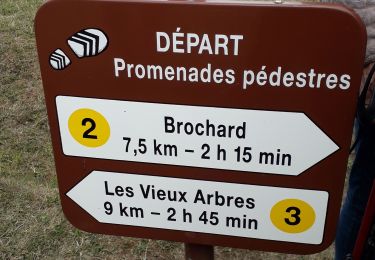 Percorso Marcia Feings - Perche-Le  Valdieu - Forêt  de Réno-Valdieu - - Photo