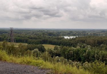 Tour Wandern Péruwelz - Forêt de Bon-Secours et pays minier de l’Escaut - Photo