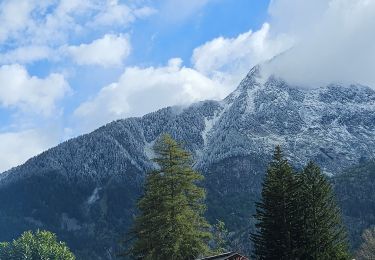 Percorso Marcia Chamonix-Mont-Blanc - J13 - R11 - Chalet La Floria depuis Les Praz de Chamonix - Photo