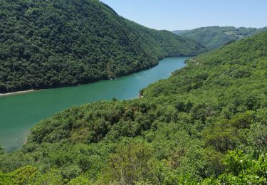 Tour Rennrad Saint-Rome-de-Tarn - Raspes du Tarn Pinet  - Photo