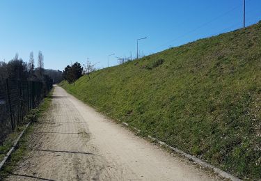 Trail Walking Saint-Barthélemy-d'Anjou - Saint Barthélemy d'Anjou - Photo