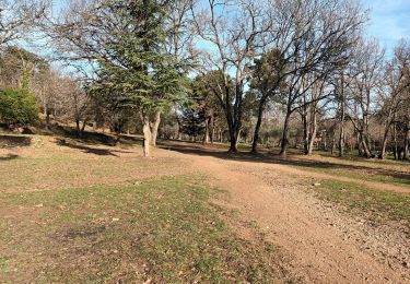 Trail Walking Pignans - ND des Anges-Pignans-17-03-23 - Photo