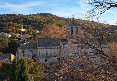 Tour Wandern Malaucène - Autour de Malaucène  - Photo