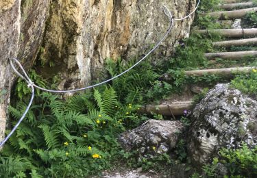 Trail Walking Tignes - Bois du fiau  - Photo