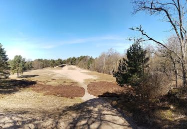 Excursión A pie Geesthacht - Düneberger Sandberge, Rundweg 5 km - Photo