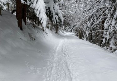 Excursión Marcha nórdica Linthal - Autour d’Obersengern - Photo