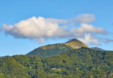 Percorso A piedi Castiglione Chiavarese - Santuario di Velva - Monte Alpe - Photo