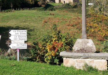 Excursión Senderismo Ceilloux - Ceilloux 091022 - Photo