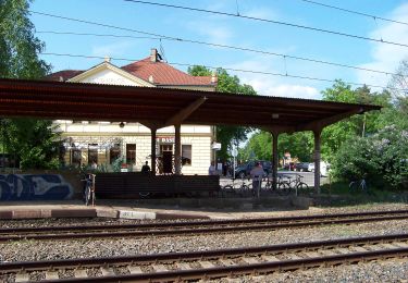 Randonnée A pied Říčany - [Č] Klánovice-Říčany - Photo