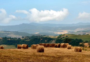 Excursión A pie Volterra - Dolce campagna, antiche mura 23 - Photo