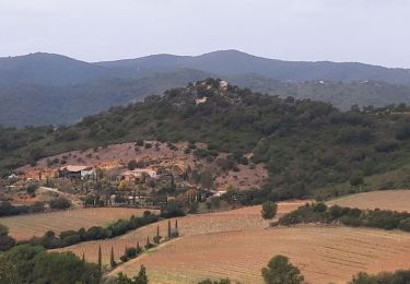 Trail Walking La Londe-les-Maures - Notre Dame des Maures-12-02-21 - Photo
