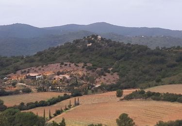 Excursión Senderismo La Londe-les-Maures - Notre Dame des Maures-12-02-21 - Photo