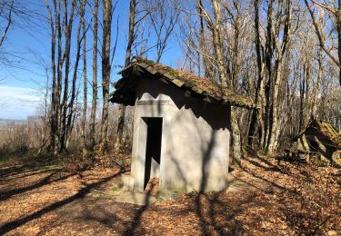 Trail Walking Belmont - Belmont -Biol- la Pierre aiguë  - Photo