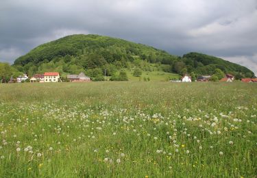 Tour Zu Fuß Poppenhausen - Rhön-Rundweg 9 Wachtkueppel - Photo