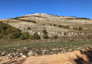 Trail Walking Mons - Le Lachens depuis Mons - Photo