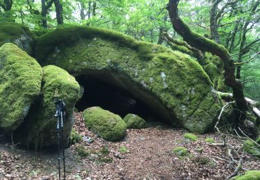 Tocht Stappen Dourbies - St Guiral par la Rouvière - Photo