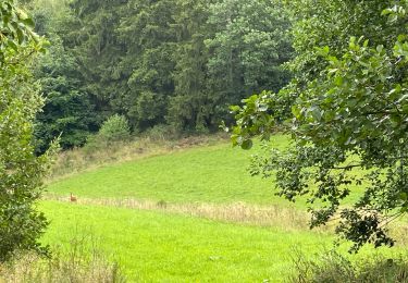 Randonnée Marche Amblève - Herresbach  - Photo