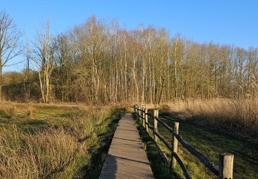 Trail Walking Zoutleeuw - A la découverte de Zoutleeuw 🥾 - Photo