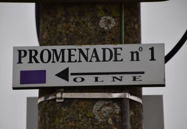 Tour Wandern Olne - Les bocages du Rafhay: Olne - Saint Hadelin - Photo