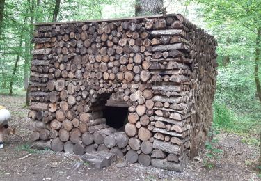 Tour Wandern Somme-Leuze - baillonville ac 1 - Photo