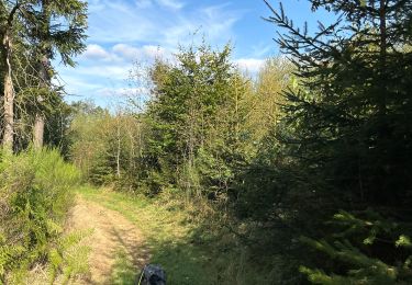 Trail Walking Vielsalm - Marche d’orientation Justine - Photo