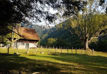 Tour Wandern Metzeral - Hohneck par la Worsa - Photo
