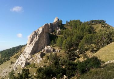 Trail Walking Le Dévoluy - Tête de Garnesier - Photo