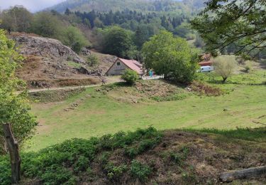 Trail Walking Oberbruck - Dolleren Baerenbah - Photo