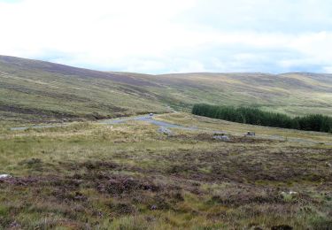 Tocht Te voet The Municipal District of Wicklow - Saint Kevin's Way - Photo