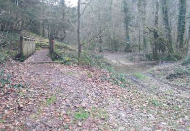 Tour Wandern Éternoz - Eternoz, Montmahoux - Photo
