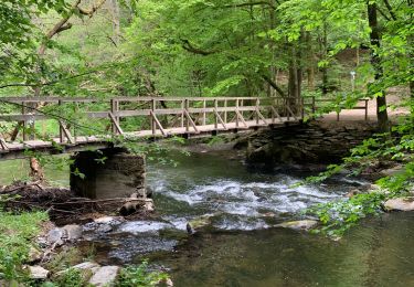 Randonnée Marche Daverdisse - Rando à Gembes (Daverdisse)  - Photo